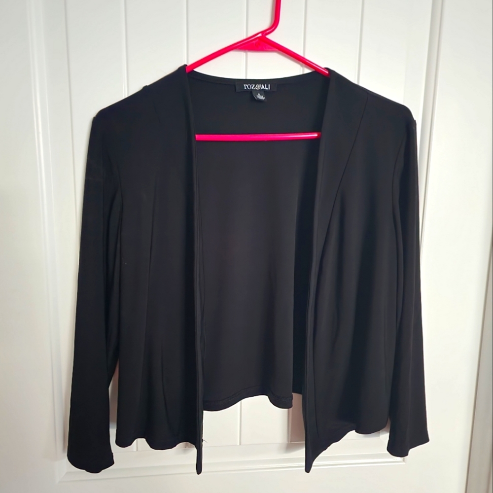 Professional blazer
